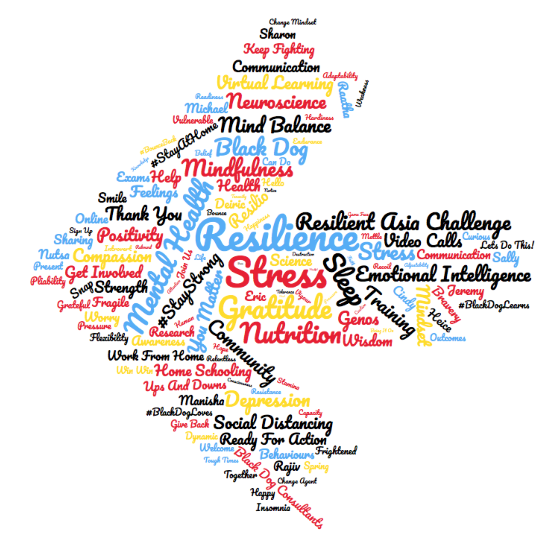 Resilient Asia Challenge